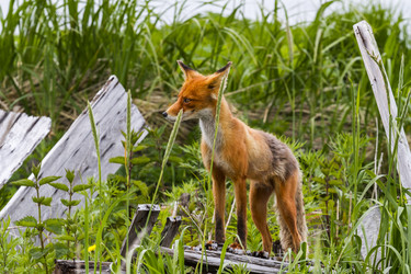 Similar image 21181281