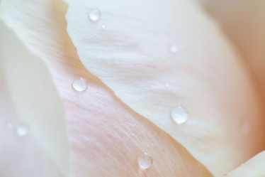 Similar image 21181284