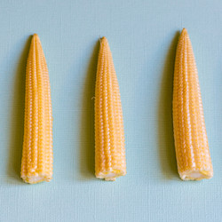 Similar image 21181294