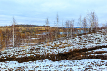 Similar image 21181043