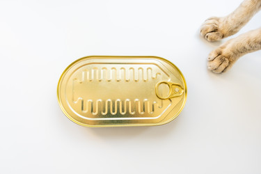 Similar image 21181052