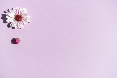 Similar image 21181053