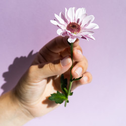 Similar image 21181055