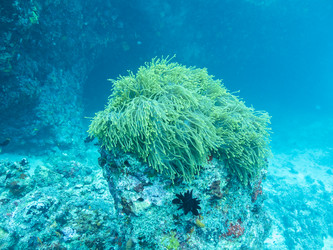 Similar image 21181305