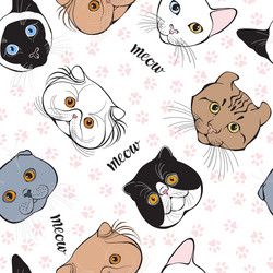 Similar image 21195850