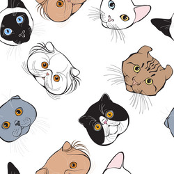 Similar image 21195852