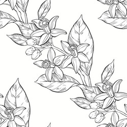 Similar image 21195916