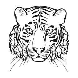 Similar image 21196076