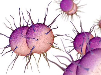 Similar image 21181317