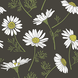 Similar image 21196001