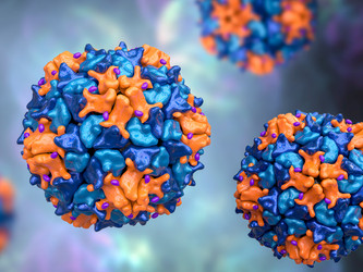 Similar image 21184103