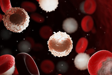 Similar image 21184108