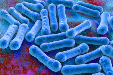 Similar image 21184111