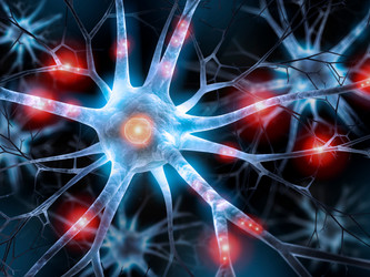 Similar image 21184112