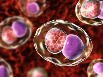 Similar image 21184115