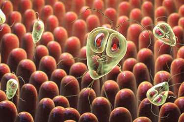 Similar image 21184121