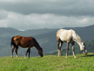 Similar image 21190035