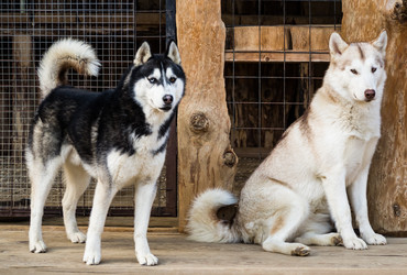 Similar image 21187046