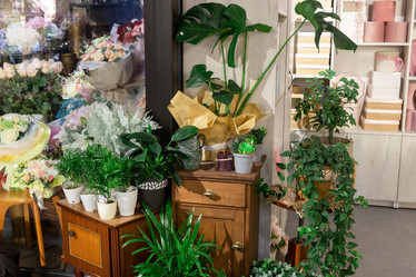 Similar image 21180661