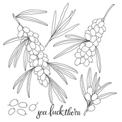 Similar image 21196387