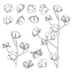 Similar image 21196436