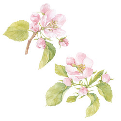 Similar image 21196237