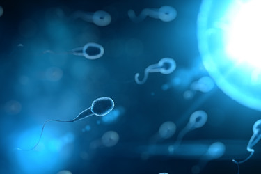 Similar image 21184126