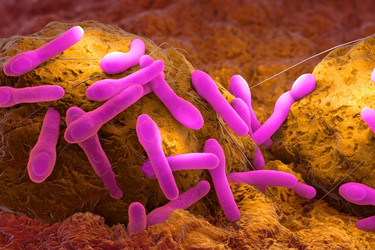 Similar image 21184128