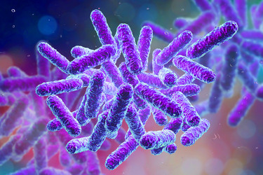 Similar image 21184129