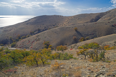 Similar image 21186808