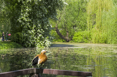 Similar image 21186809