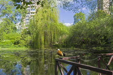 Similar image 21186810