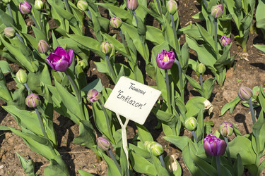 Similar image 21186817