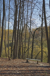 Similar image 21186820