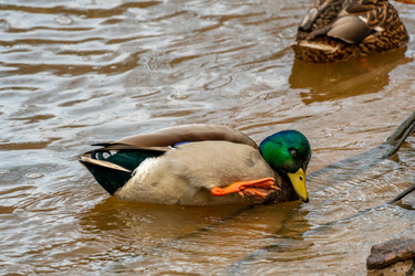 Similar image 21184202