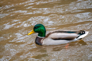 Similar image 21184203