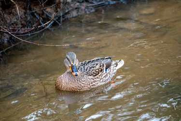 Similar image 21184205