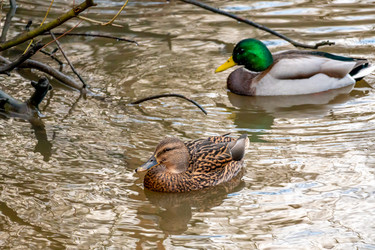 Similar image 21184210