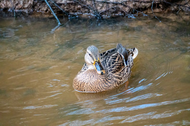 Similar image 21184211