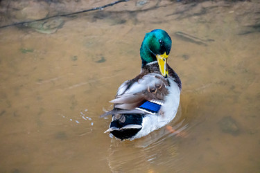 Similar image 21184219