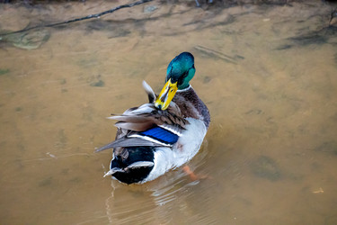 Similar image 21184220