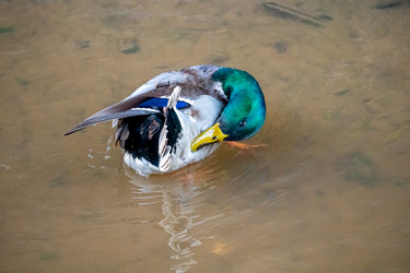 Similar image 21184222