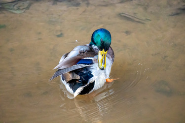 Similar image 21184223