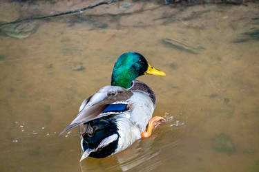 Similar image 21184226