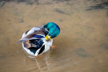 Similar image 21184227