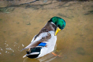 Similar image 21184228