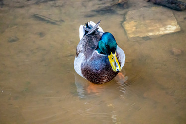 Similar image 21184230