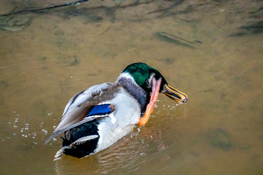 Similar image 21184231