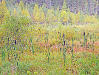 Similar image 21186625