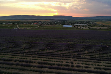 Similar image 21185975